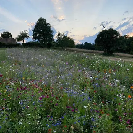 فيلة Charme Rustique- Piscine Privee Et Jardin