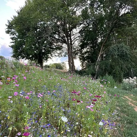 La Maison De La Ferme- Piscine Privee Et Jardin * Queyssac