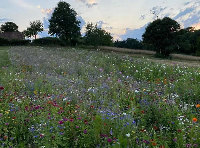 Villa Charme Rustique- Piscine Privee Et Jardin