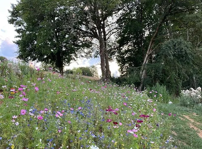 Charme Rustique- Piscine Privee Et Jardin * Queyssac